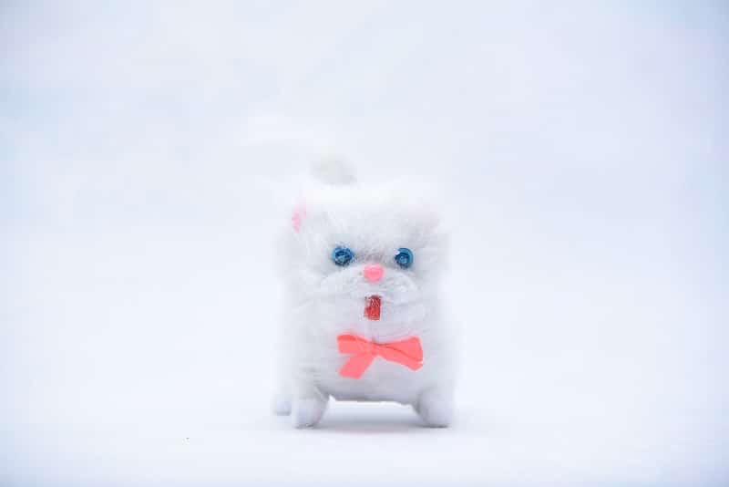 Hello Cat Toy – Lights, Walks & Sits